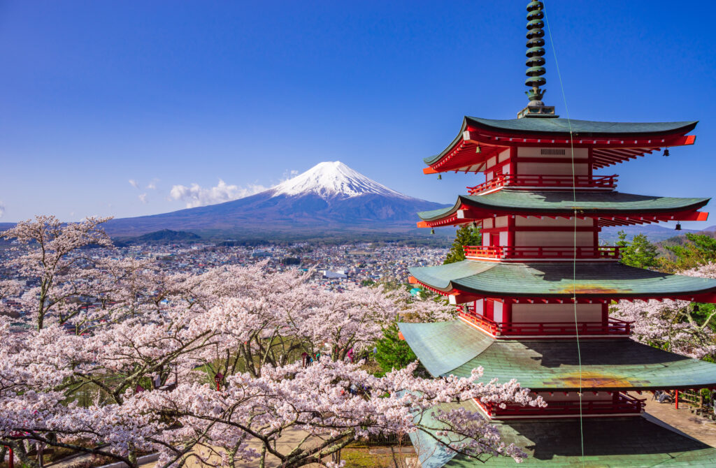 Mount Fuji and Chureito Pagoda framed by cherry blossoms in Japan