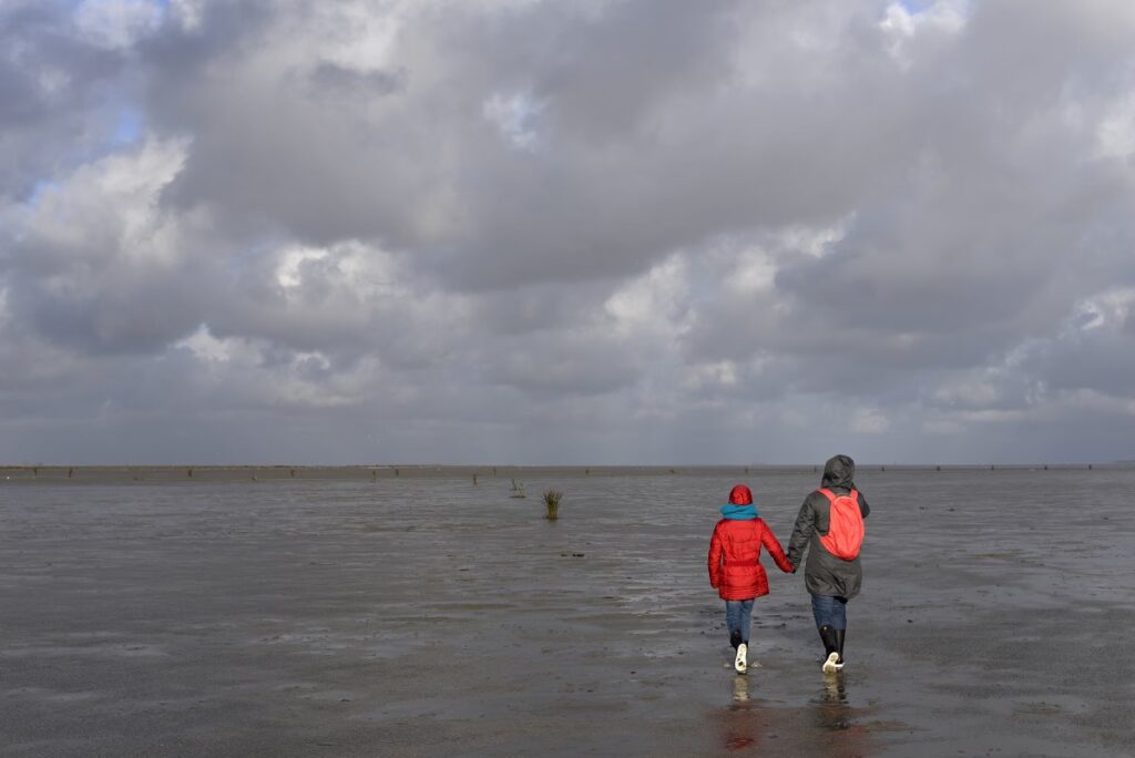 Mudflat hikers walking across the Wadden Sea at low tide