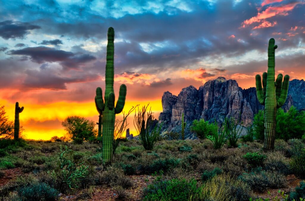 Tall cactus and desert vegetation beside rugged rock formations beneath an orange sunset and dramatic clouds.